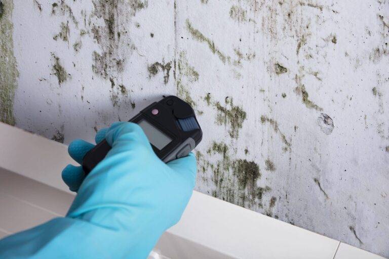 Why And When Do You Need to Get a Mould Inspection?